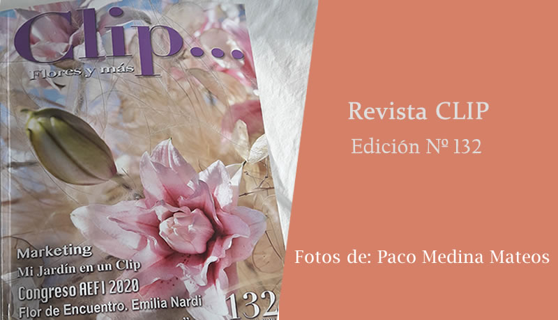 Emilia Nardi - Revista Clip 132