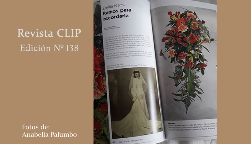 Emilia Nardi - Revista Clip 138