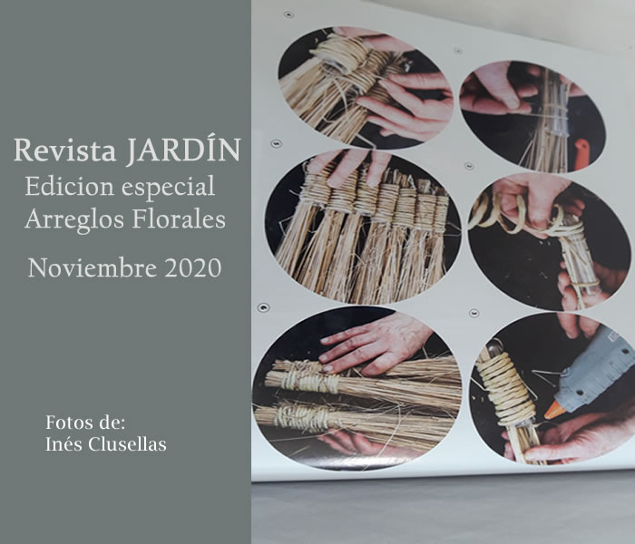 Emilia Nardi - Revista Jardin Noviembre 2020